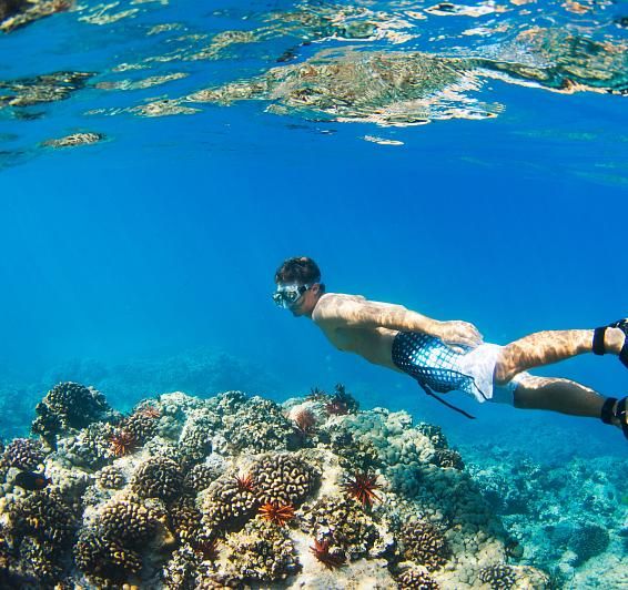 Snorkel i submarinisme